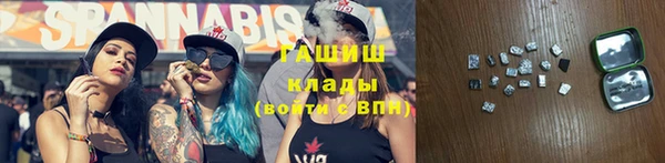 скорость Каменка