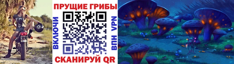 Псилоцибиновые грибы MAGIC MUSHROOMS  купить закладку  Котово 
